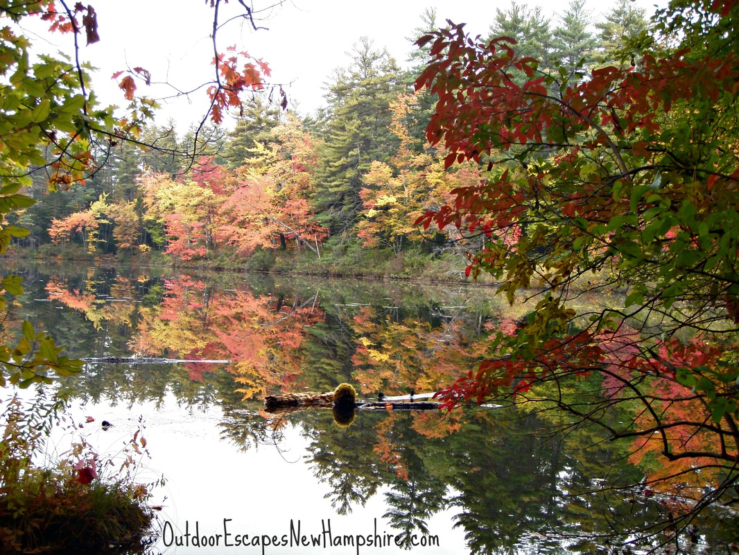 Fall foliage tours in New Hampshire